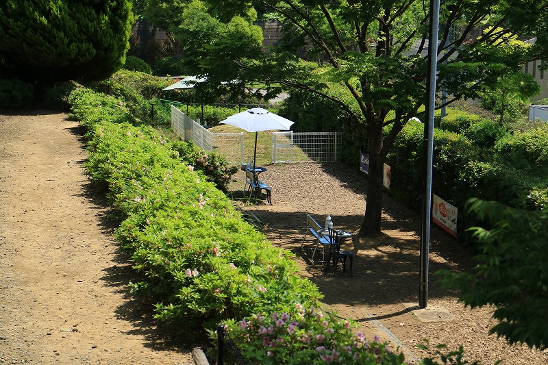 ハウススクエア横浜 ワンコパーク ドッグラン 神奈川県のドッグラン情報